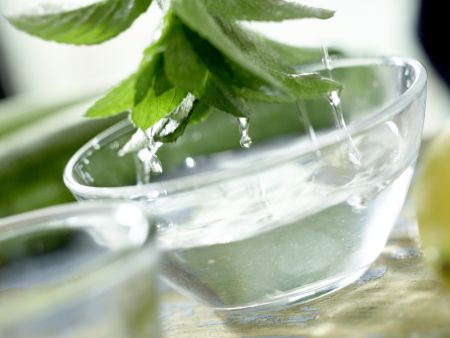 Marinierte Zucchini Zubereitung Schritt 2 Marinierte Zucchini Zubereitung Schritt 2