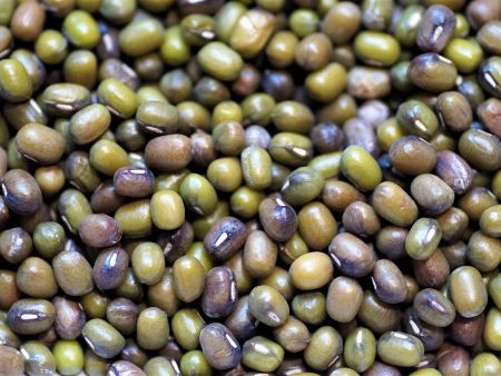 Stärker durch Mungobohnen – auch ohne Training?