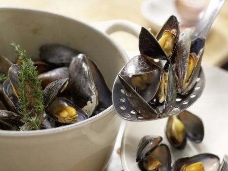 Muschelsuppe Zubereitung Schritt 2 Muschelsuppe Zubereitung Schritt 2