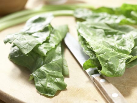 Nudeln mit Spinat und Käse Zubereitung Schritt 1 Nudeln mit Spinat und Käse Zubereitung Schritt 1