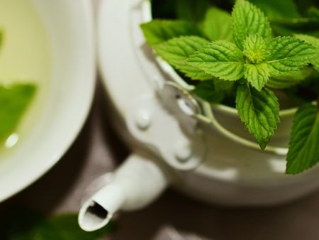 Das sind die besten natürlichen Appetitzügler