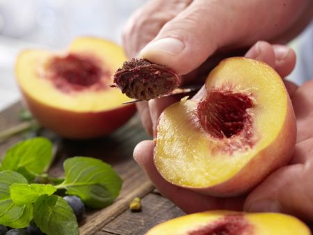 Pfirsich-Sorbet Zubereitung Schritt 3 Pfirsich-Sorbet Zubereitung Schritt 3