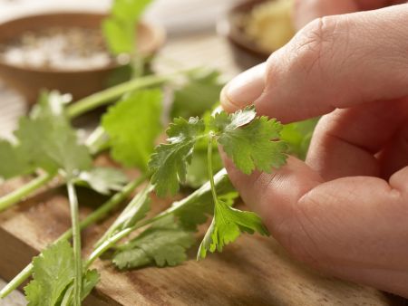 Puten-Tofu-Geschnetzeltes "Benjamin" Zubereitung Schritt 9 Puten-Tofu-Geschnetzeltes "Benjamin" Zubereitung Schritt 9