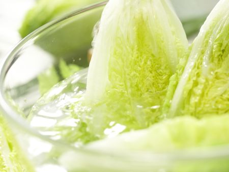 Römersalat mit Roquefort Zubereitung Schritt 2 Römersalat mit Roquefort Zubereitung Schritt 2