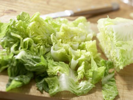 Römersalat mit Zitronenschnitzel Zubereitung Schritt 5 Römersalat mit Zitronenschnitzel Zubereitung Schritt 5