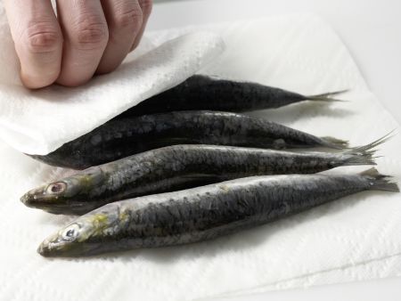 Rosmarin-Sardinen Zubereitung Schritt 1 Rosmarin-Sardinen Zubereitung Schritt 1