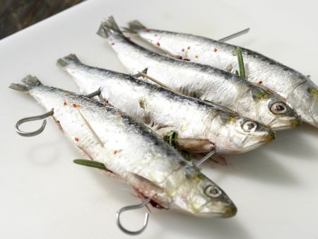 Rosmarin-Sardinen Zubereitung Schritt 6 Rosmarin-Sardinen Zubereitung Schritt 6