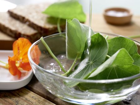 Rote-Bete-Brote Zubereitung Schritt 1 Rote-Bete-Brote Zubereitung Schritt 1
