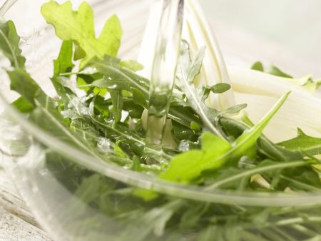 Rucola-Sellerie-Drink Zubereitung Schritt 3 Rucola-Sellerie-Drink Zubereitung Schritt 3