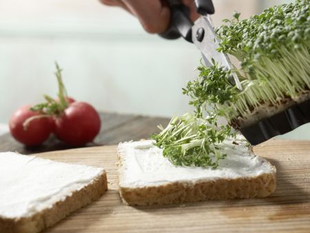 Saftiges Sandwich Zubereitung Schritt 2 Saftiges Sandwich Zubereitung Schritt 2