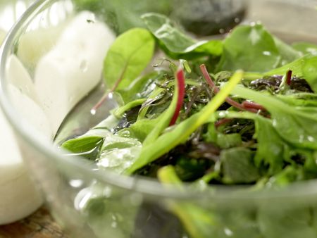 Salatschüssel mit Wassermelone Zubereitung Schritt 2 Salatschüssel mit Wassermelone Zubereitung Schritt 2