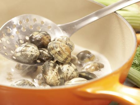 Scharfe Muschelsuppe Zubereitung Schritt 2 Scharfe Muschelsuppe Zubereitung Schritt 2