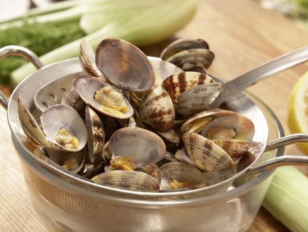 Scharfe Muschelsuppe Zubereitung Schritt 3 Scharfe Muschelsuppe Zubereitung Schritt 3