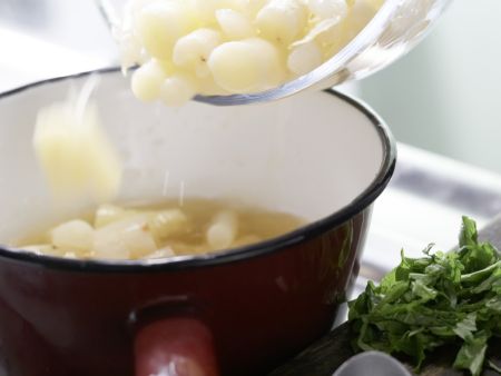 Scharfe Schwarzwurzeln Zubereitung Schritt 4 Scharfe Schwarzwurzeln Zubereitung Schritt 4