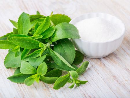 Das sollten Sie über Stevia wissen