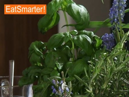 Tomatensauce für Hackbällchen kochen