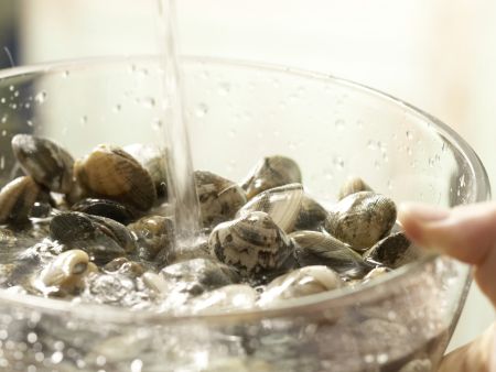Thai-Muscheltopf Zubereitung Schritt 1 Thai-Muscheltopf Zubereitung Schritt 1