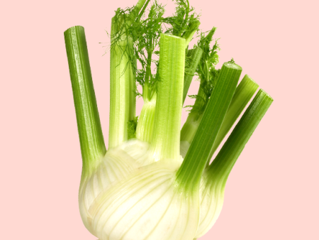 Fenchel