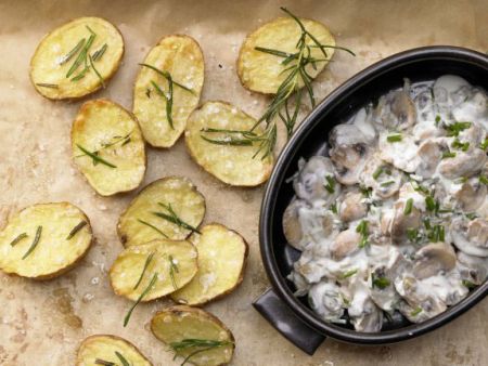 Vegetarische Pilzrezepte Rezepte