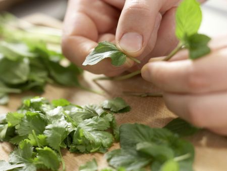Vietnamesische Suppe Zubereitung Schritt 10 Vietnamesische Suppe Zubereitung Schritt 10