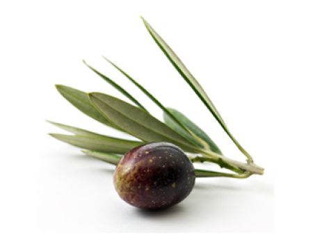 Oliven