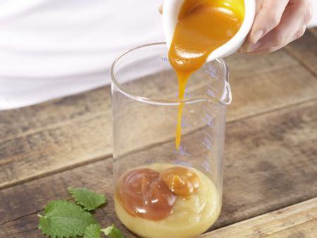 Wildfrucht-Smoothie Zubereitung Schritt 2 Wildfrucht-Smoothie Zubereitung Schritt 2