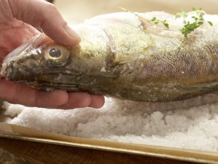 Zander in der Salzkruste Zubereitung Schritt 3 Zander in der Salzkruste Zubereitung Schritt 3