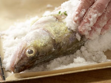 Zander in der Salzkruste Zubereitung Schritt 4 Zander in der Salzkruste Zubereitung Schritt 4