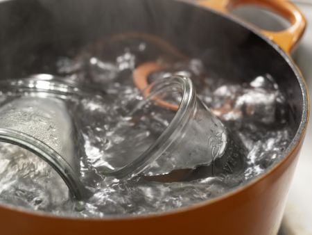 Zwetschgensauce auf asiatische Art Zubereitung Schritt 2 Zwetschgensauce auf asiatische Art Zubereitung Schritt 2