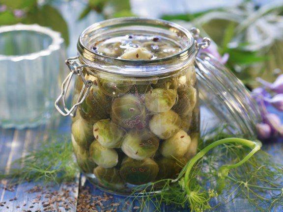 Rosenkohl-Topliste Rosenkohl-Topliste