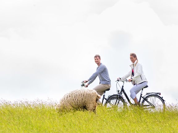 3 sportarten fuer jedes alter 576x432