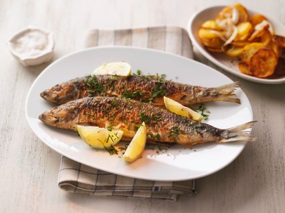 grünkorn dünger für rasen Bio Rasendünger main image 1