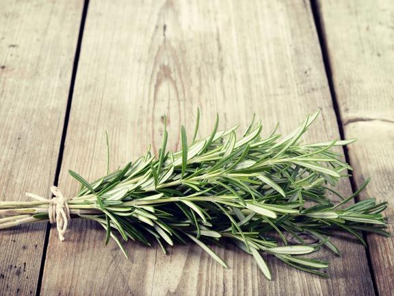 Gesunde Gewürze und Kräuter: Rosmarin