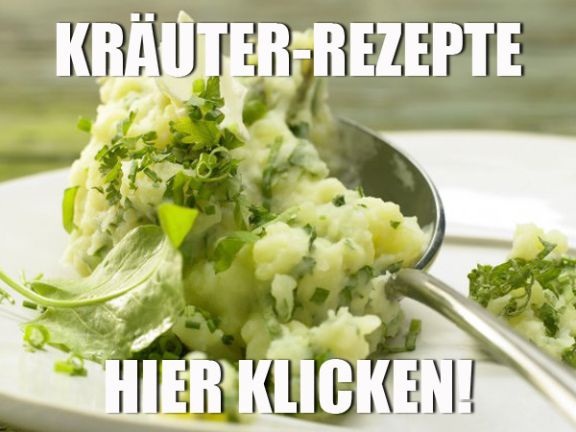 Essbare Wildkrauter Und Blumen Eat Smarter 