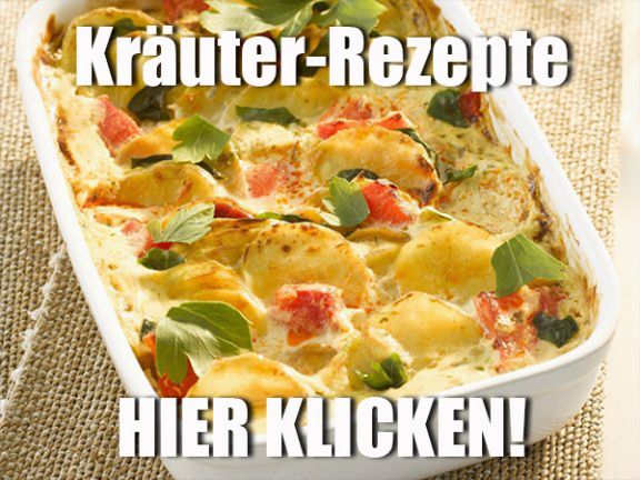 Essbare Wildpflanzen