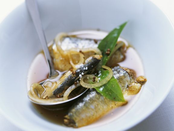 Ölsardinen in Marinade aus Zwiebeln und Balsamessig Rezept ...