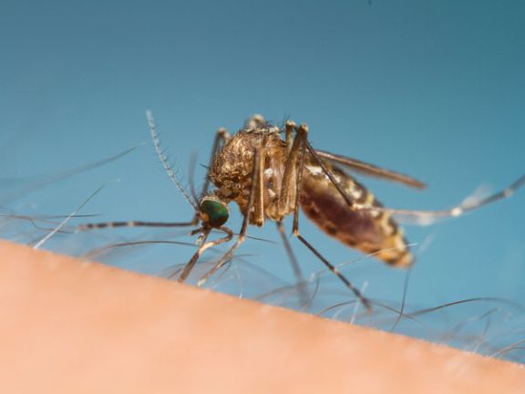 Reiseapotheke TK Reiseapotheke TK