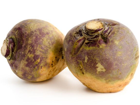 Steckrüben Steckrüben