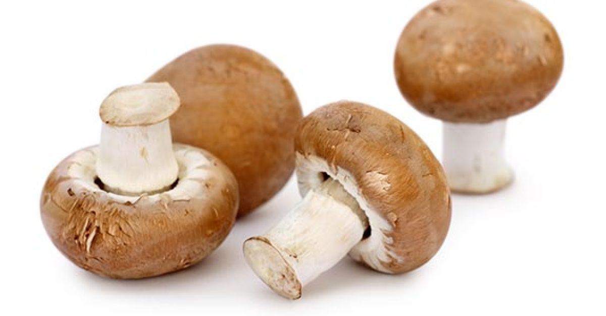 Champignons: Rezepte &amp; Wissen | EAT SMARTER