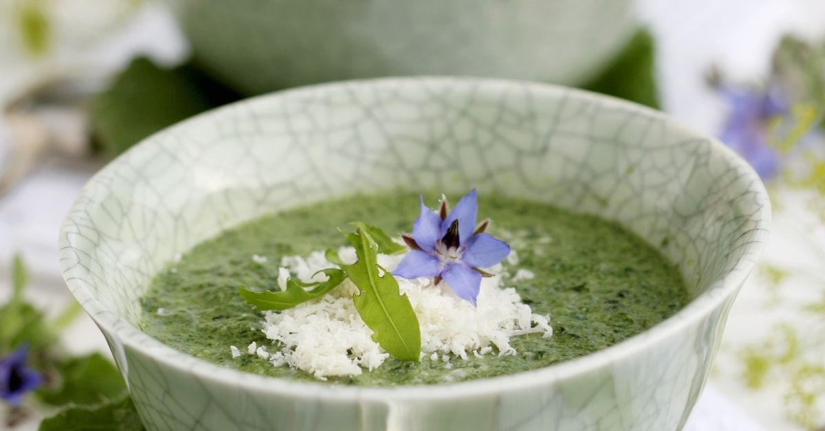 Cremige Borretschsuppe mit Parmesan Rezept | EAT SMARTER