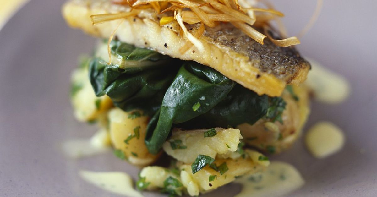 Gebratener Zander auf Kartoffelsalat Rezept | EAT SMARTER