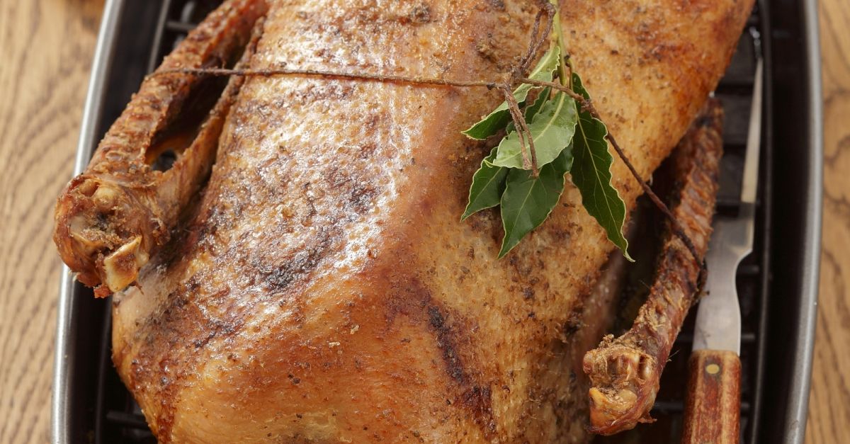 Gefüllter Gänsebraten mit Äpfeln und Cranberries Rezept | EAT SMARTER