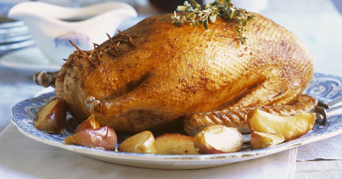 Gefüllter Gänsebraten mit Äpfeln und Kartoffelknödeln Rezept | EAT SMARTER