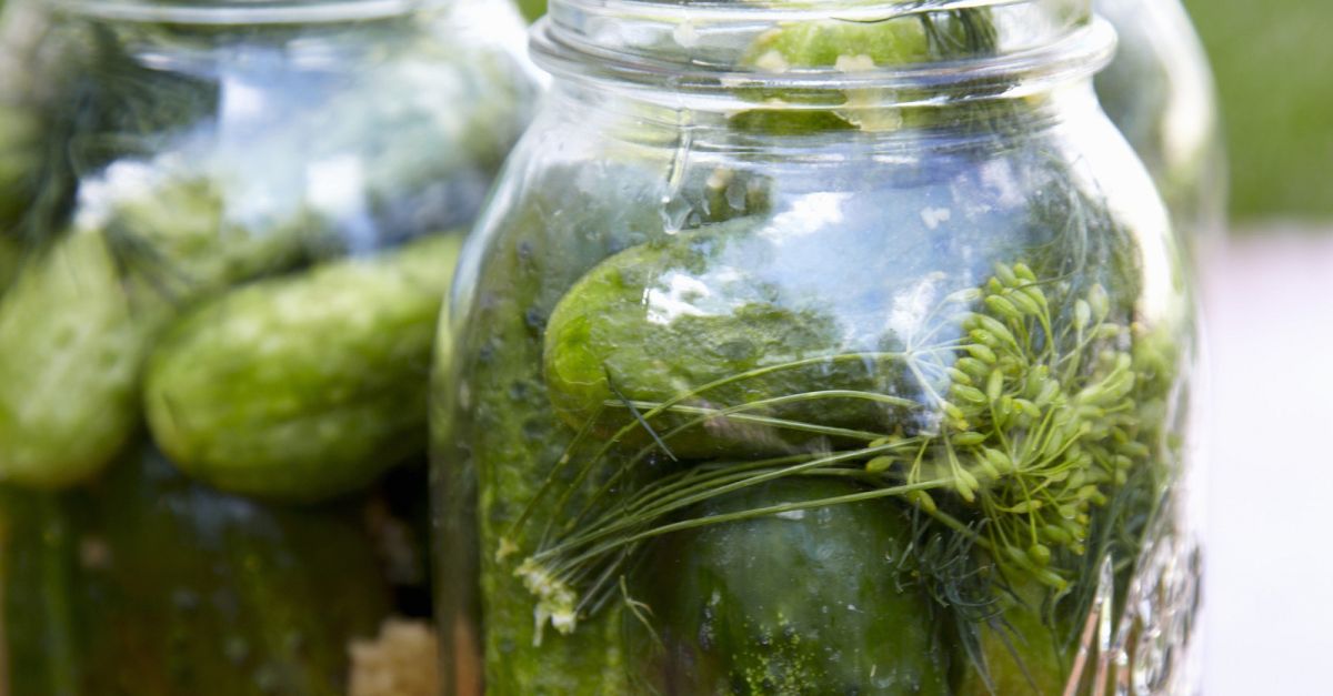 Gewürzgurken mit Dill und Knoblauch Rezept | EAT SMARTER
