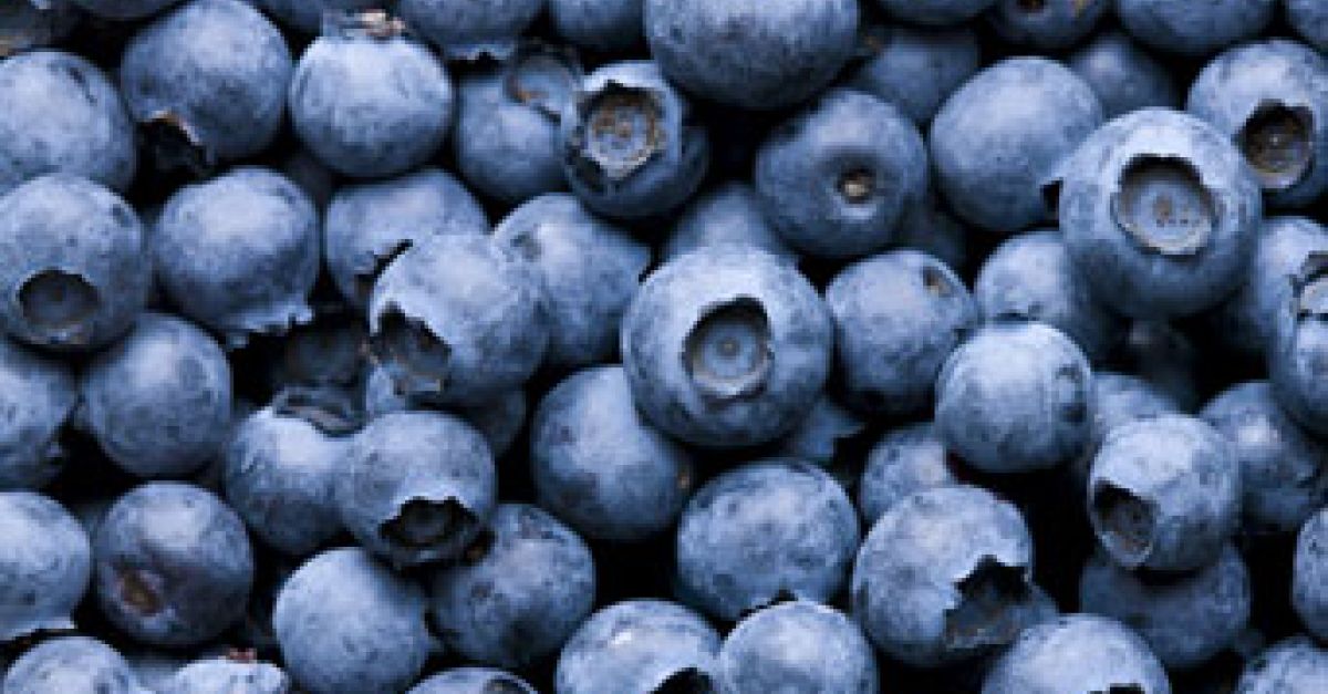 Was Heidelbeeren so gesund macht EAT SMARTER