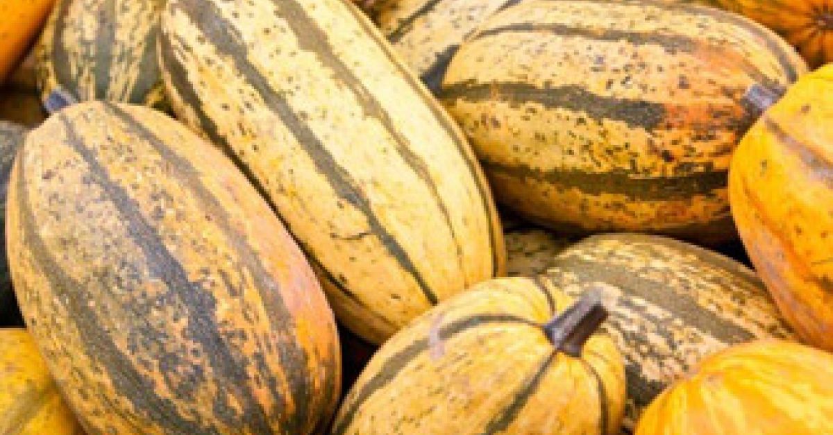 Spaghettikürbis - Rezepte & Infos | EAT SMARTER Spaghettikürbis - Rezepte & Infos | EAT SMARTER