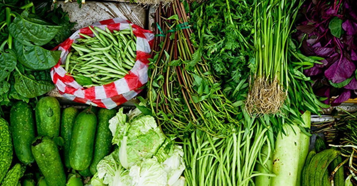 Download Das die starken de For Free