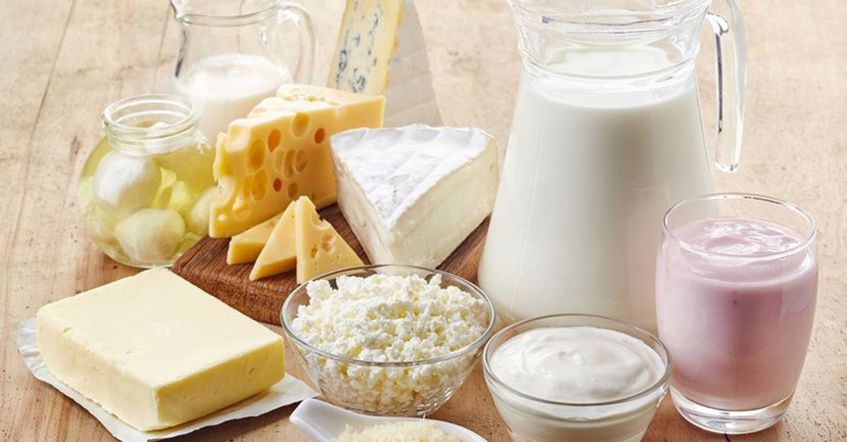 Diät von 100 Gramm Protein hat ein Ei