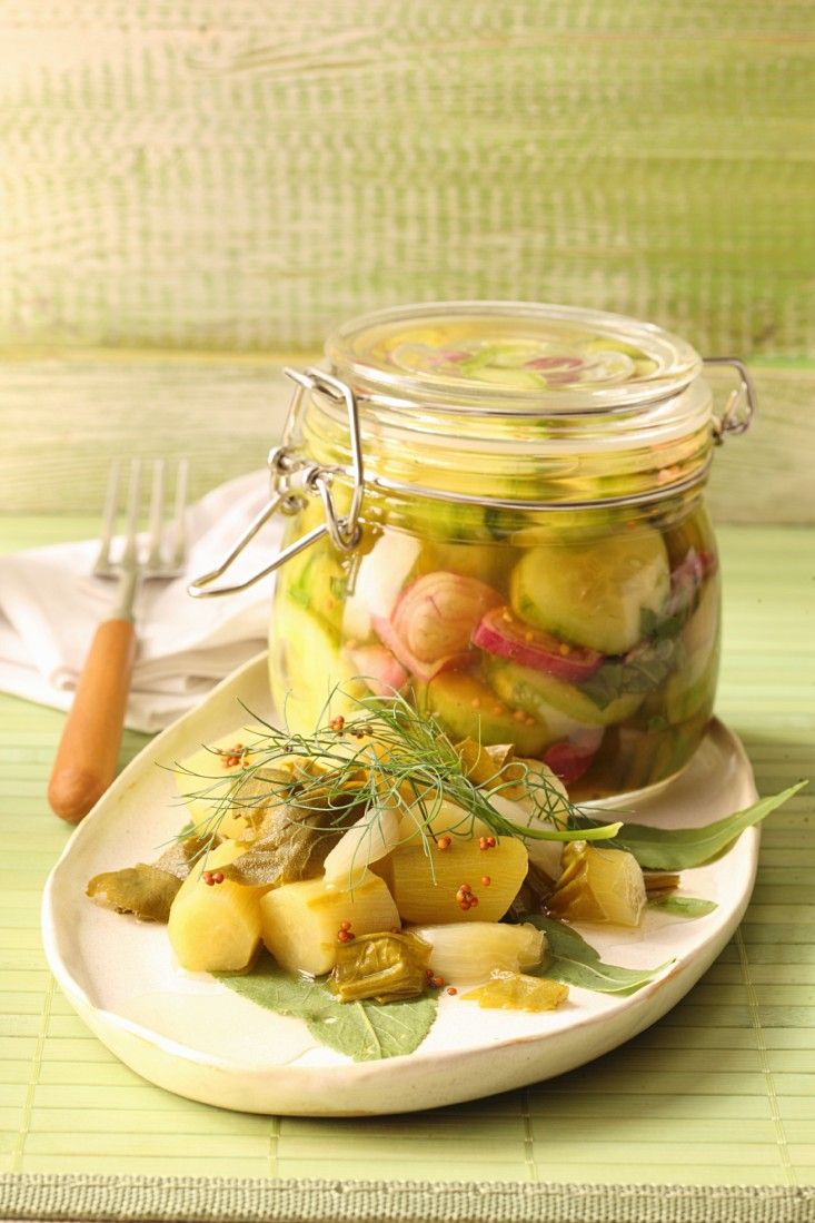 Eingemachte Gurken mit Dill und Estragon