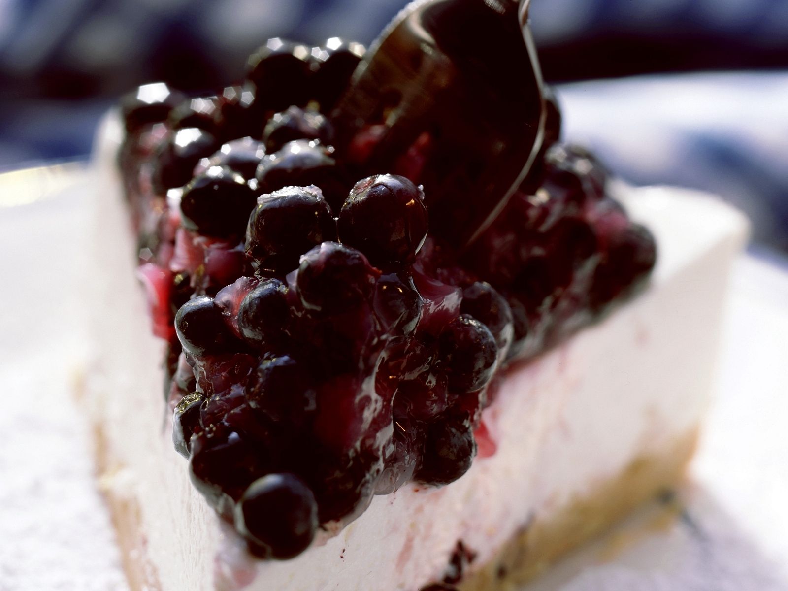 Frischkäse-Blaubeer-Kuchen